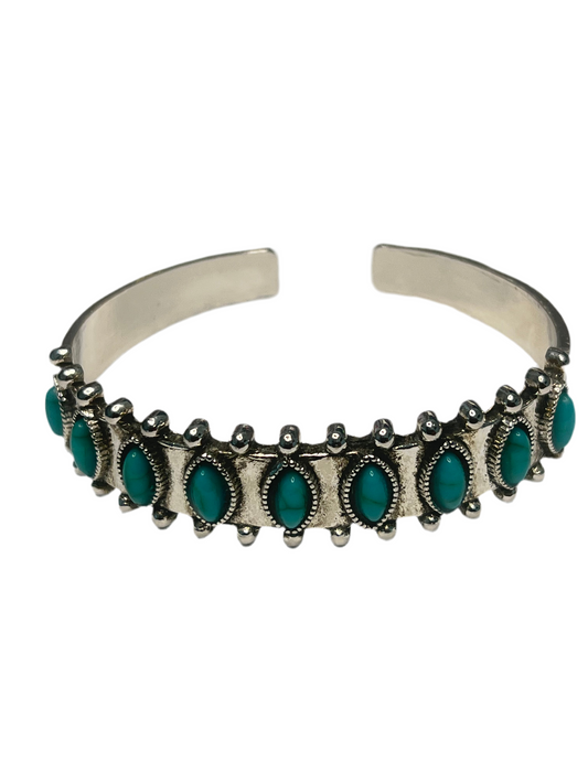 Western Oval Teal