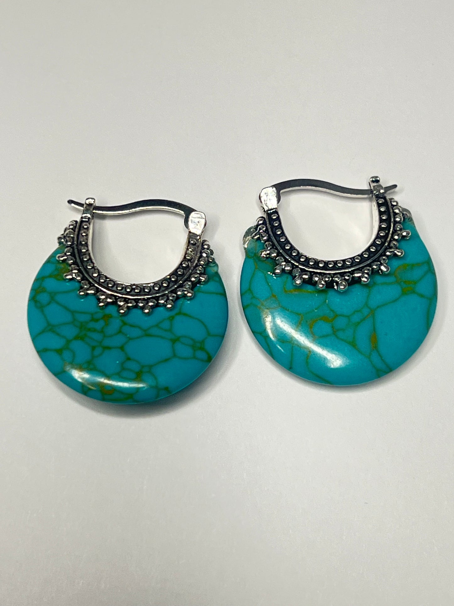 Western Teal Hoops