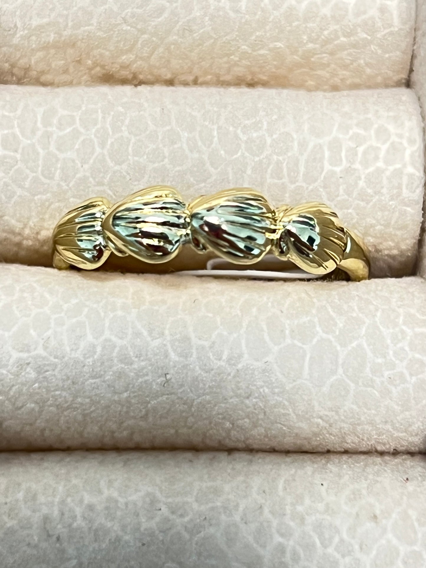 Shell Ring
